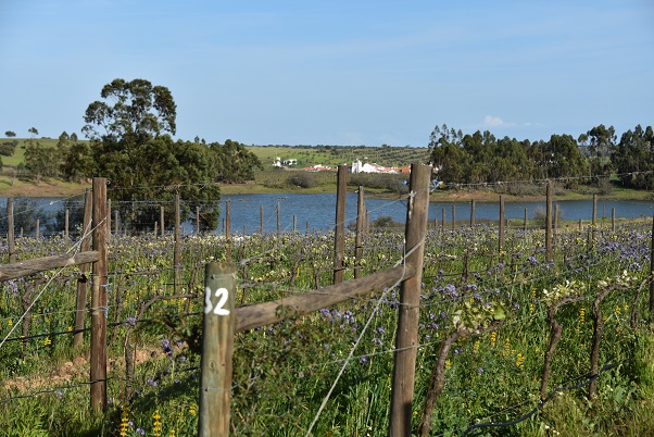 Herdade dos Lagos 1